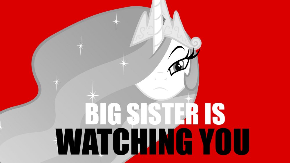 Big Sister Is Watching You The Stanford Flipside