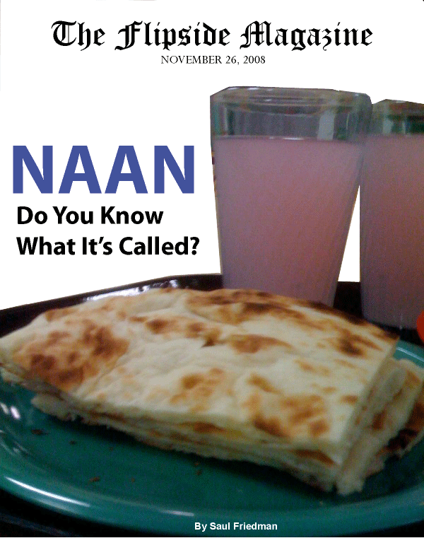 The Flipside Magazine - Naan: Do You Know What It's Called?