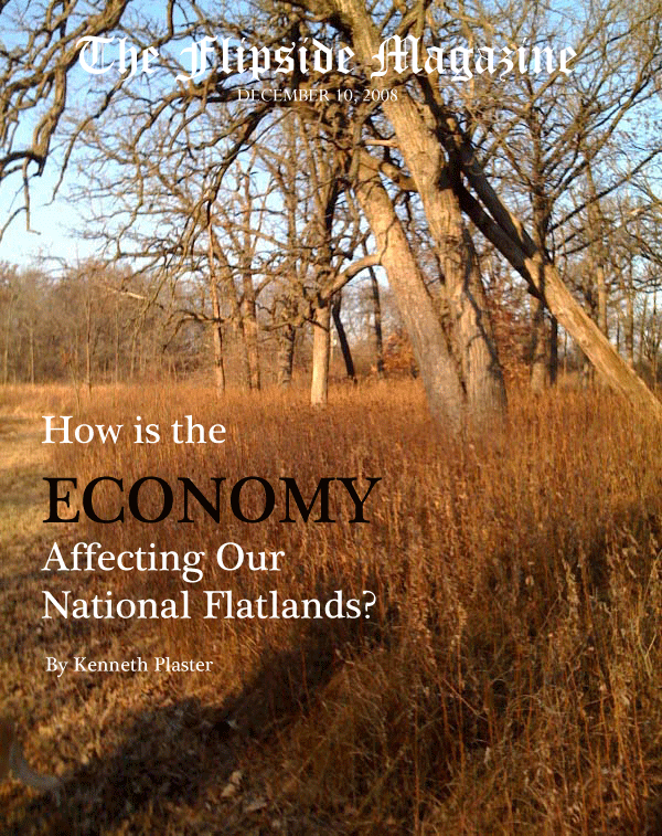 The Flipside Magazine - How is the Economy Affecting Our National Flatlands?